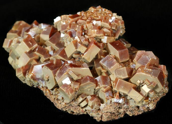 Pristine Red & Brown Vanadinite Crystals on Matrix - Morocco #42212